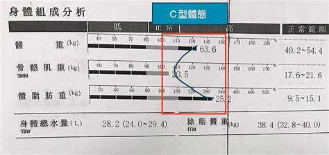 體型分析|何謂C、I、D型體態？健身教練教你讀懂「身體組成分。